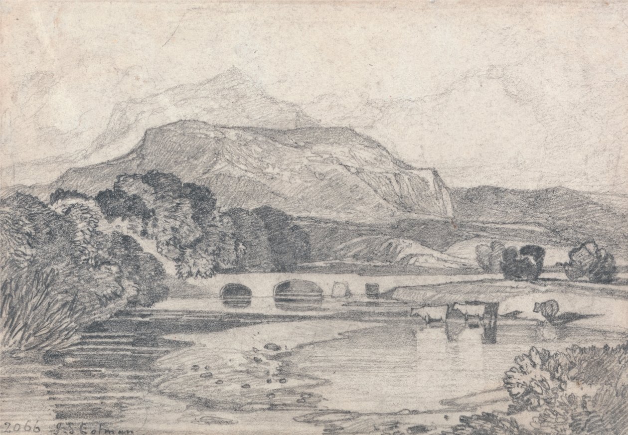 Tan-y-Bwlch, norra Wales av John Sell Cotman