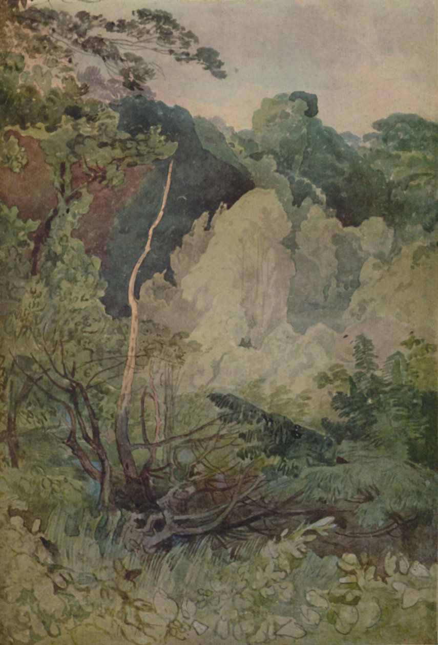 Träd nära Gretafloden, 1923 av John Sell Cotman
