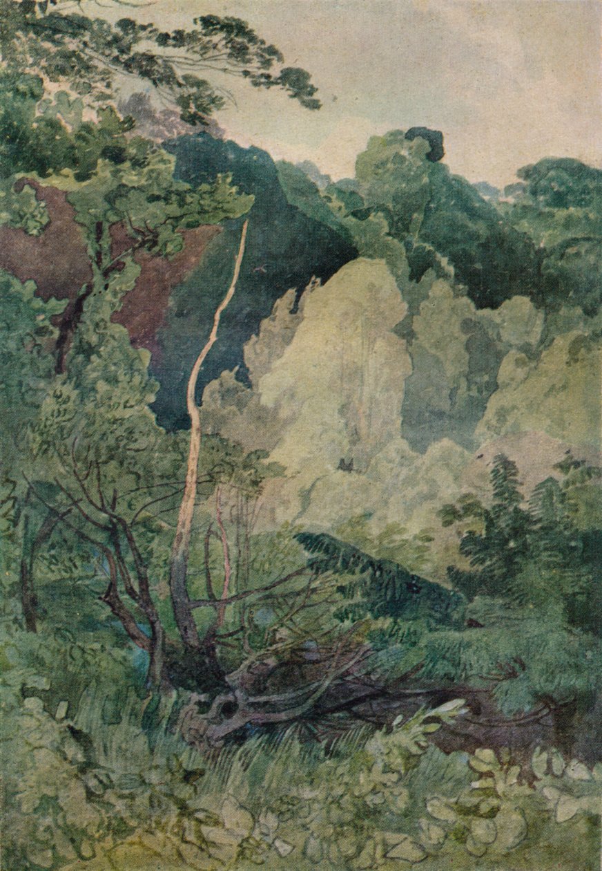 Träd nära Gretafloden, c1800-talet av John Sell Cotman