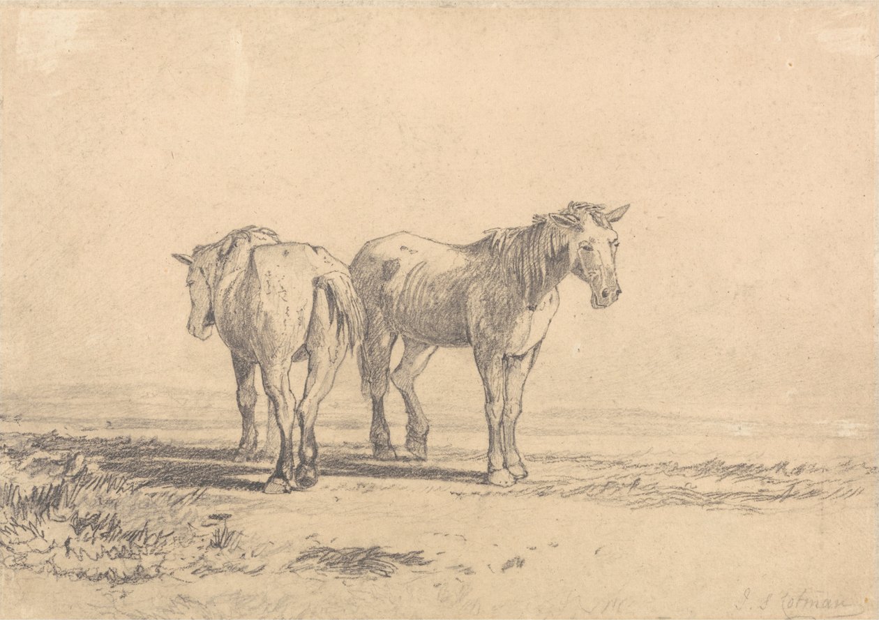 Två gamla hästar står på ett fält av John Sell Cotman