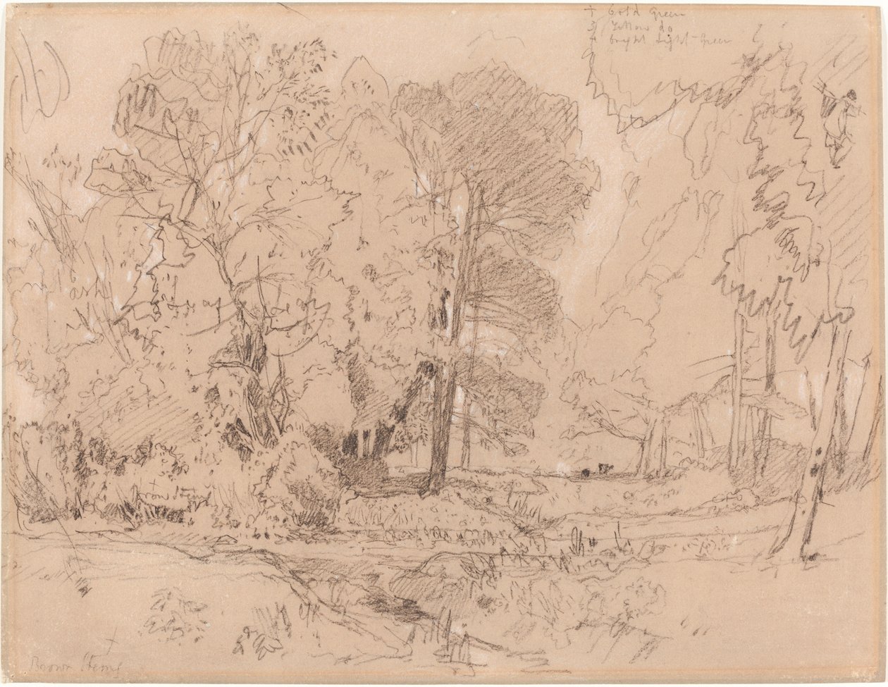 Skogbevuxen landskap av John Sell Cotman