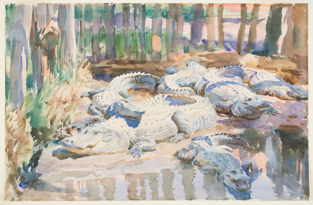 Muddy Alligators, 1917 (wc över grafit på papper) av John Singer Sargent