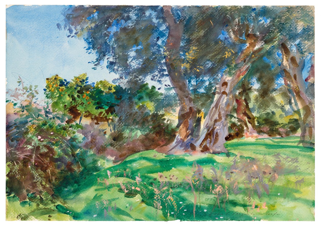 Olivträd, Korfu av John Singer Sargent