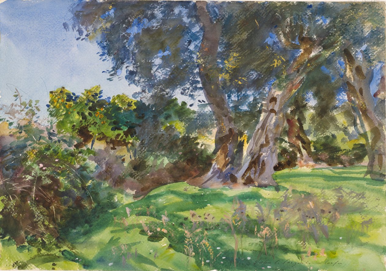 Olivträd, Korfu av John Singer Sargent