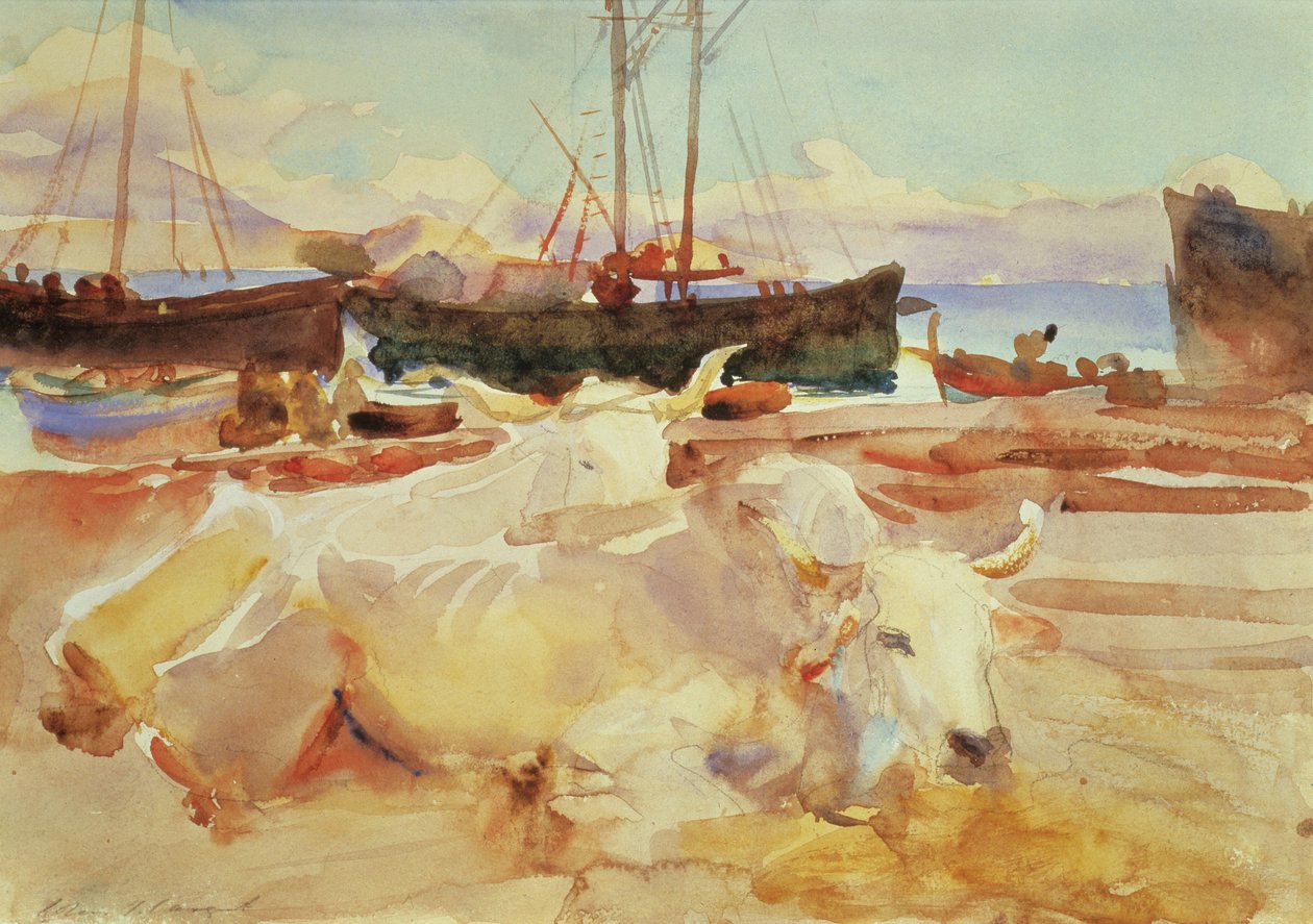 Oxar på stranden i Baia, ca 1908 (wc på papper) av John Singer Sargent
