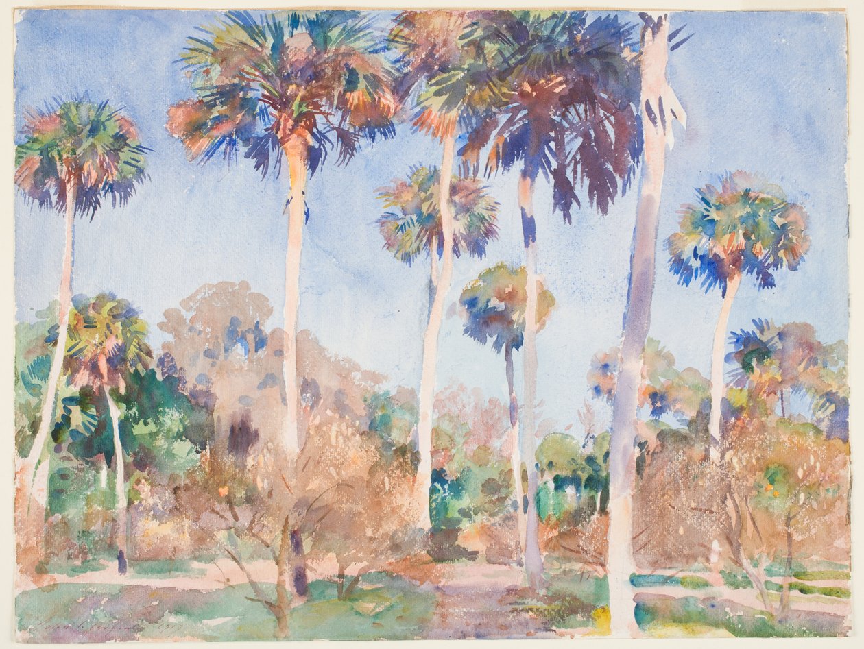 Palms, 1917 (wc over graphite on paper) av John Singer Sargent