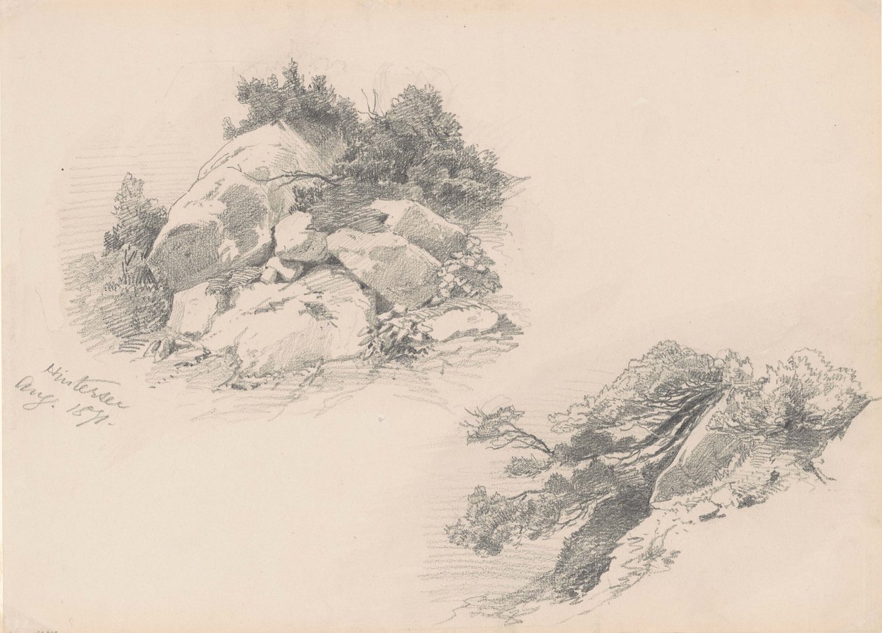 Rocks and Brush, Hintersee, Tyskland, 1871 (grafit på vävpapper) av John Singer Sargent