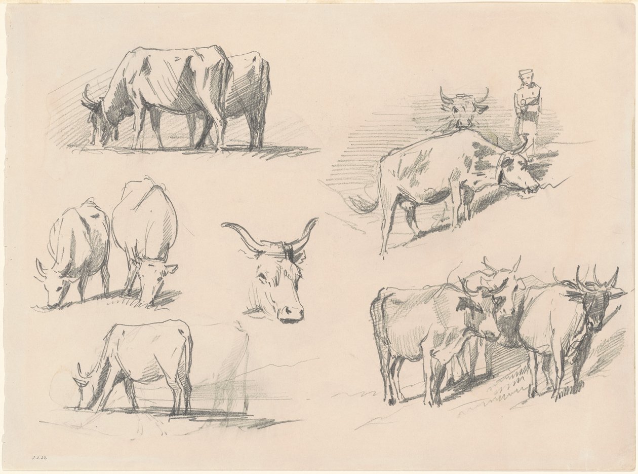 Studier av boskap, ca. 1872. av John Singer Sargent