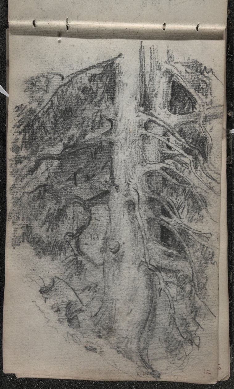 Studie av ett träd, 1871-72 (grafit på mörkt benvitt vävt papper) av John Singer Sargent
