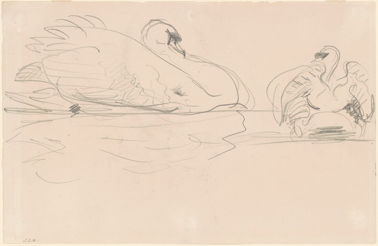 Svanar i vattnet, 1880-1900. av John Singer Sargent