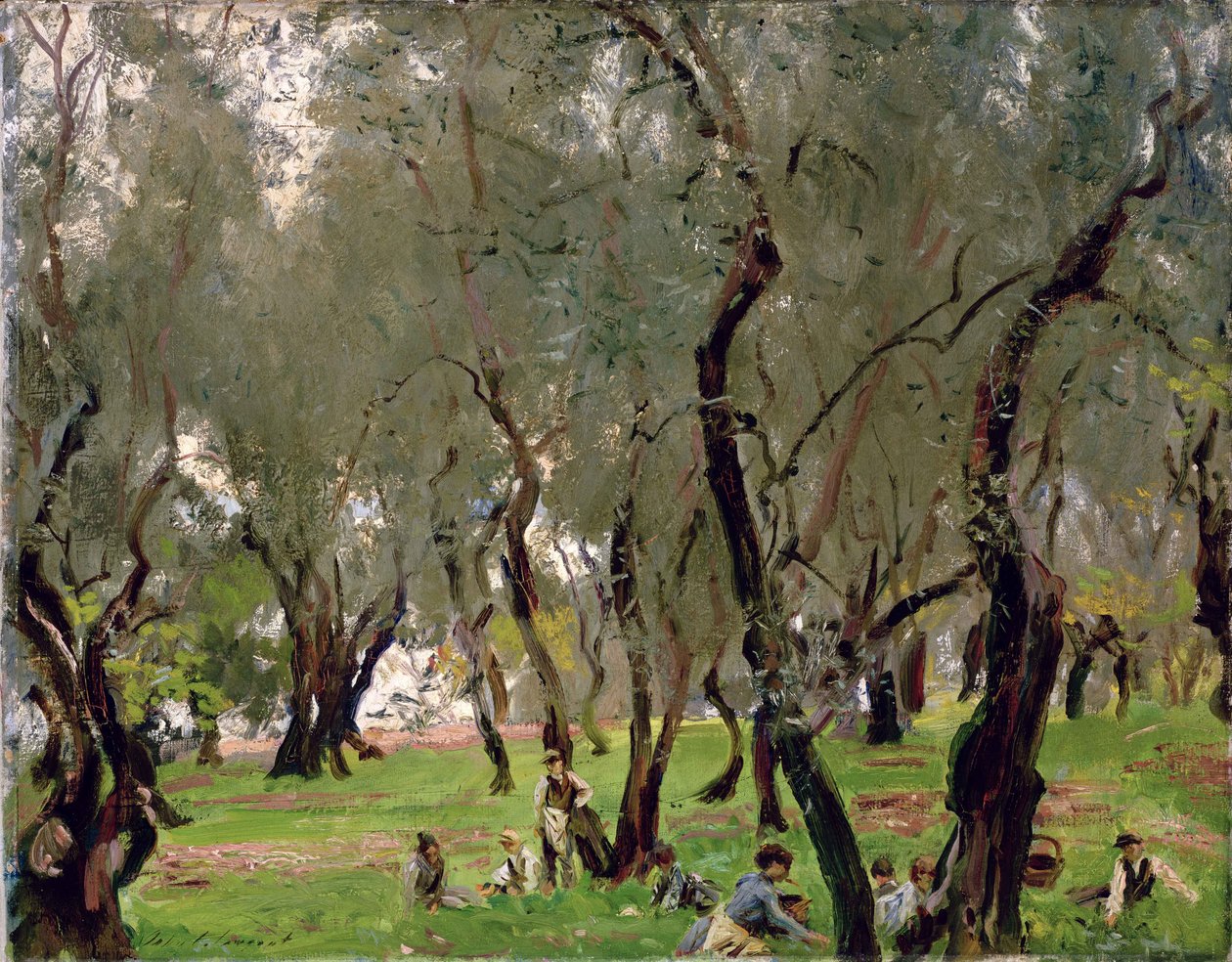 The Olive Grove, ca 1910 (olja på duk) av John Singer Sargent