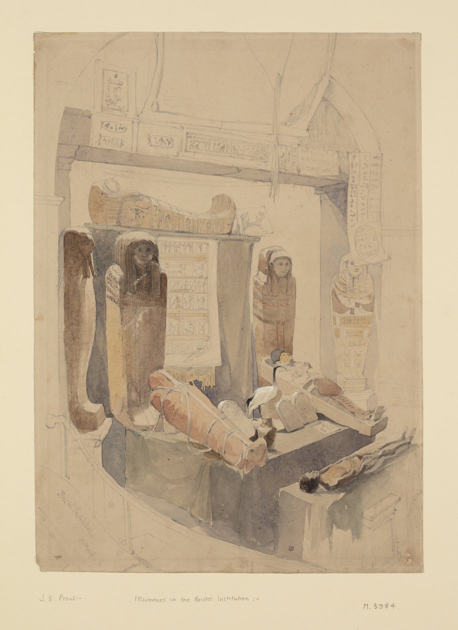 Mummies in the Bristol Institution, c.1834 (akvarell och penna på papper) av John Skinner Prout