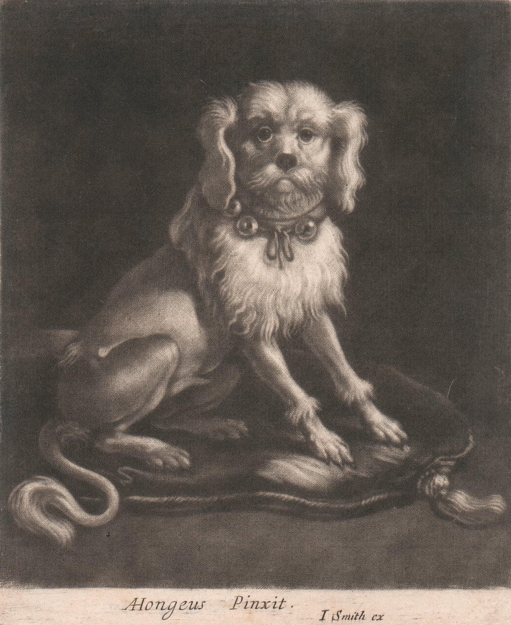 En liten hund som bär ett halsband. av John Smith