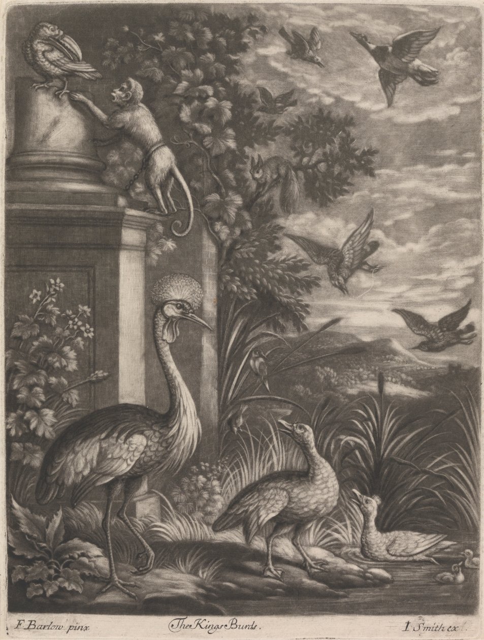 Kings Birds av John Smith