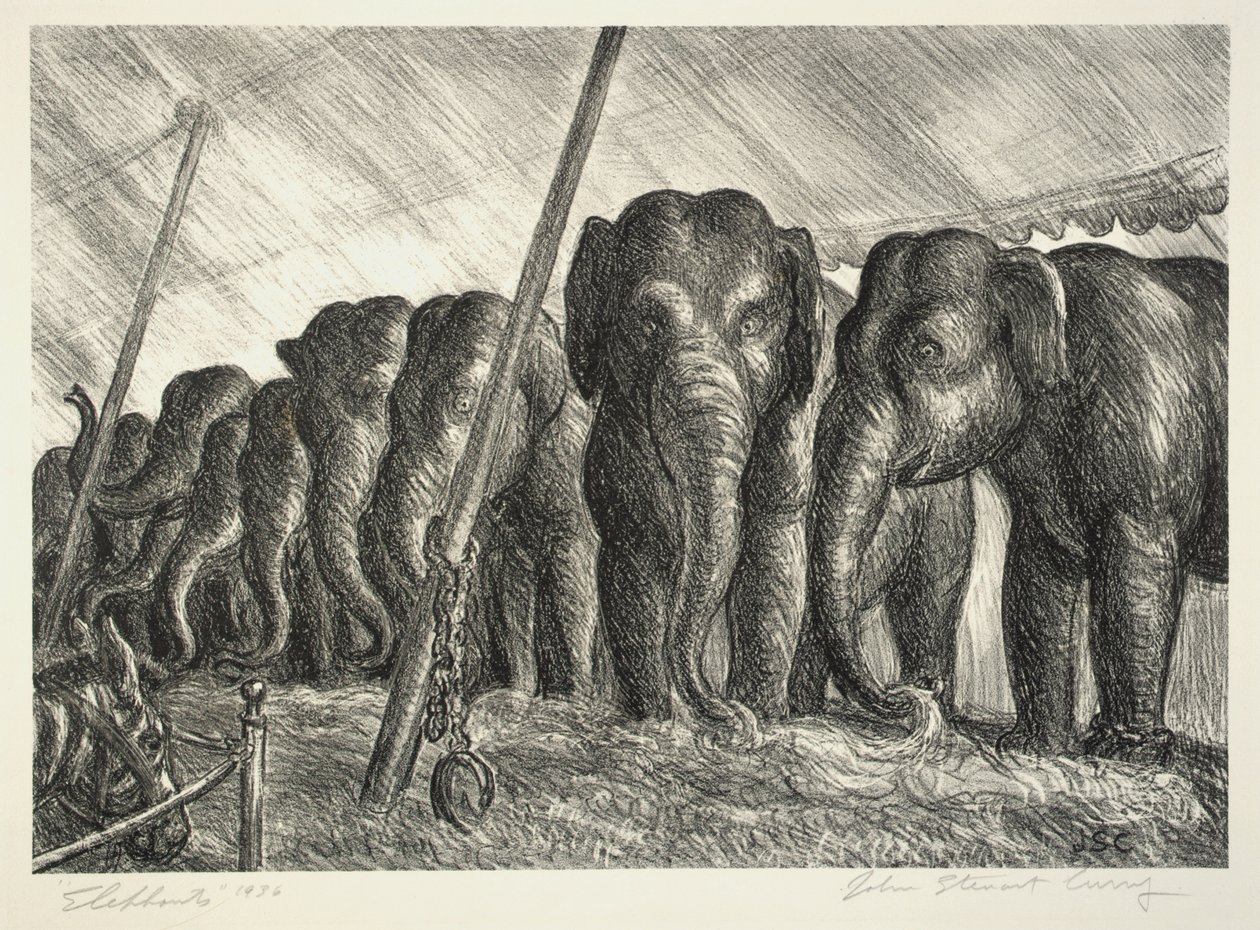 Cirkus Elefanter av John Steuart Curry