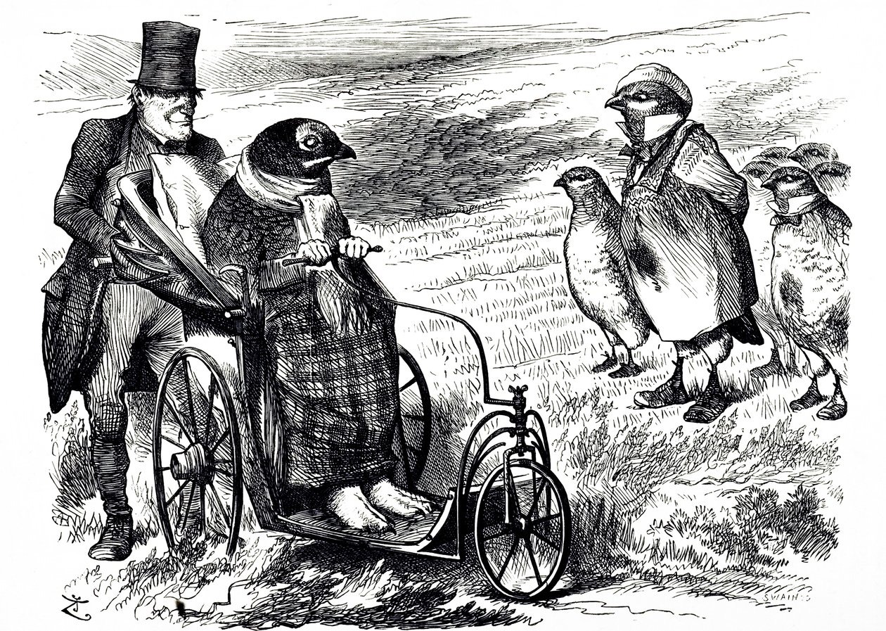 En tecknad serie som kommenterar avstängningen av Grouse Shooting för att låta beståndet byggas upp igen. Illustrerad av John Tenniel (1820-1914), en engelsk illustratör, grafisk humorist och politisk serietecknare av John Tenniel