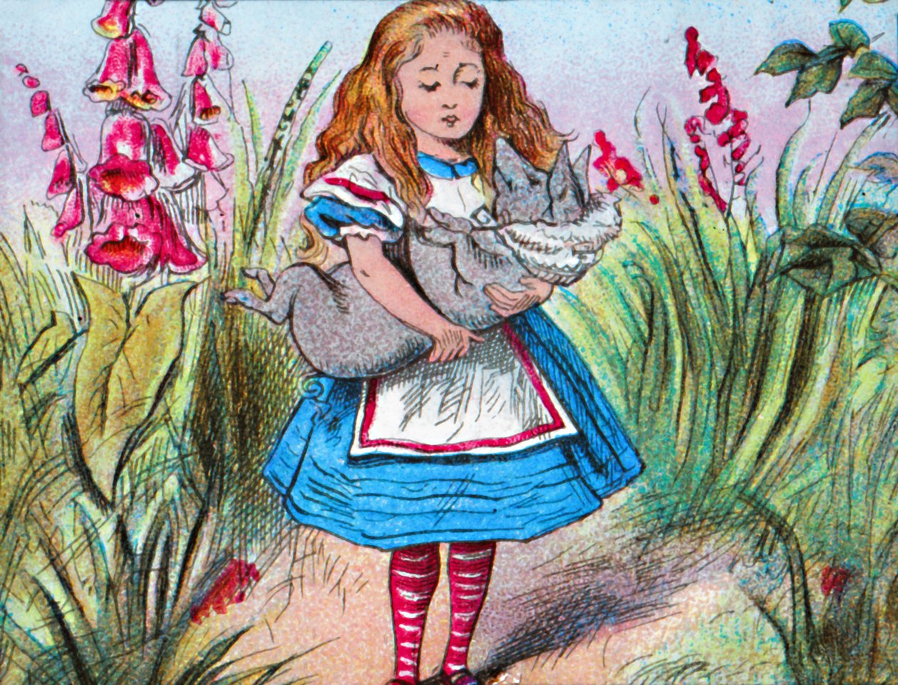 Alice håller en gris i famnen., c1910. av John Tenniel