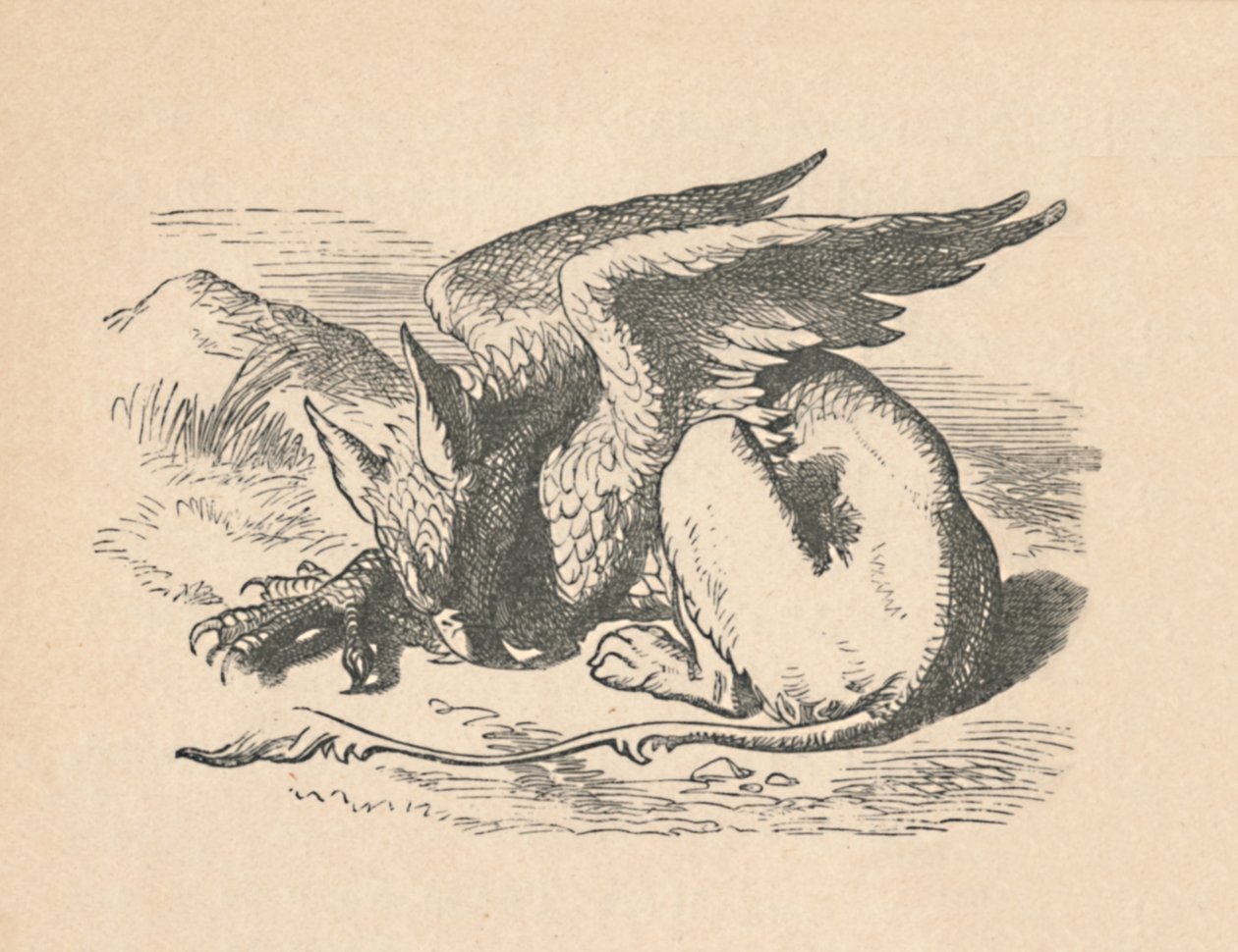 Gryphon sover i solen, 1889 av John Tenniel