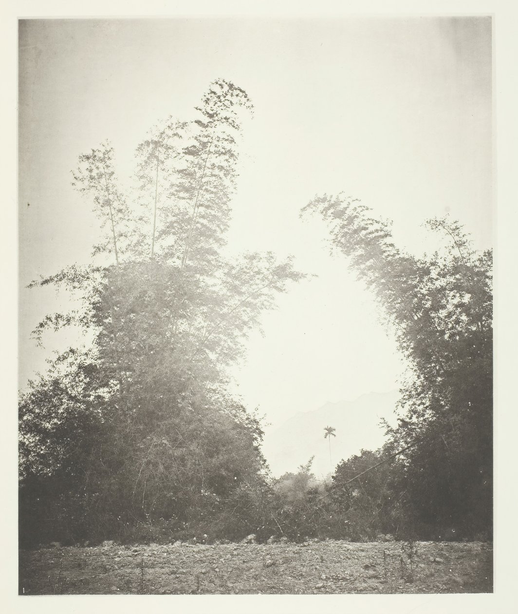 Bambu och Baska, Formosa, ca. 1868. av John Thomson