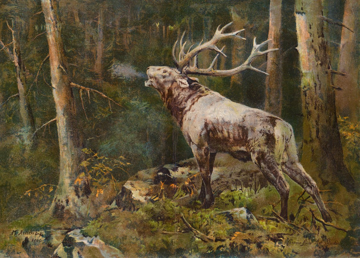  av John Trivett Nettleship