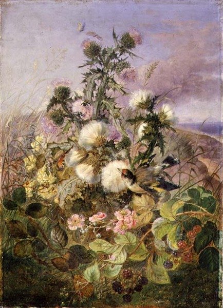 En guldfink och en fjäril bland tistlar och björnbärsblommor av John Wainwright