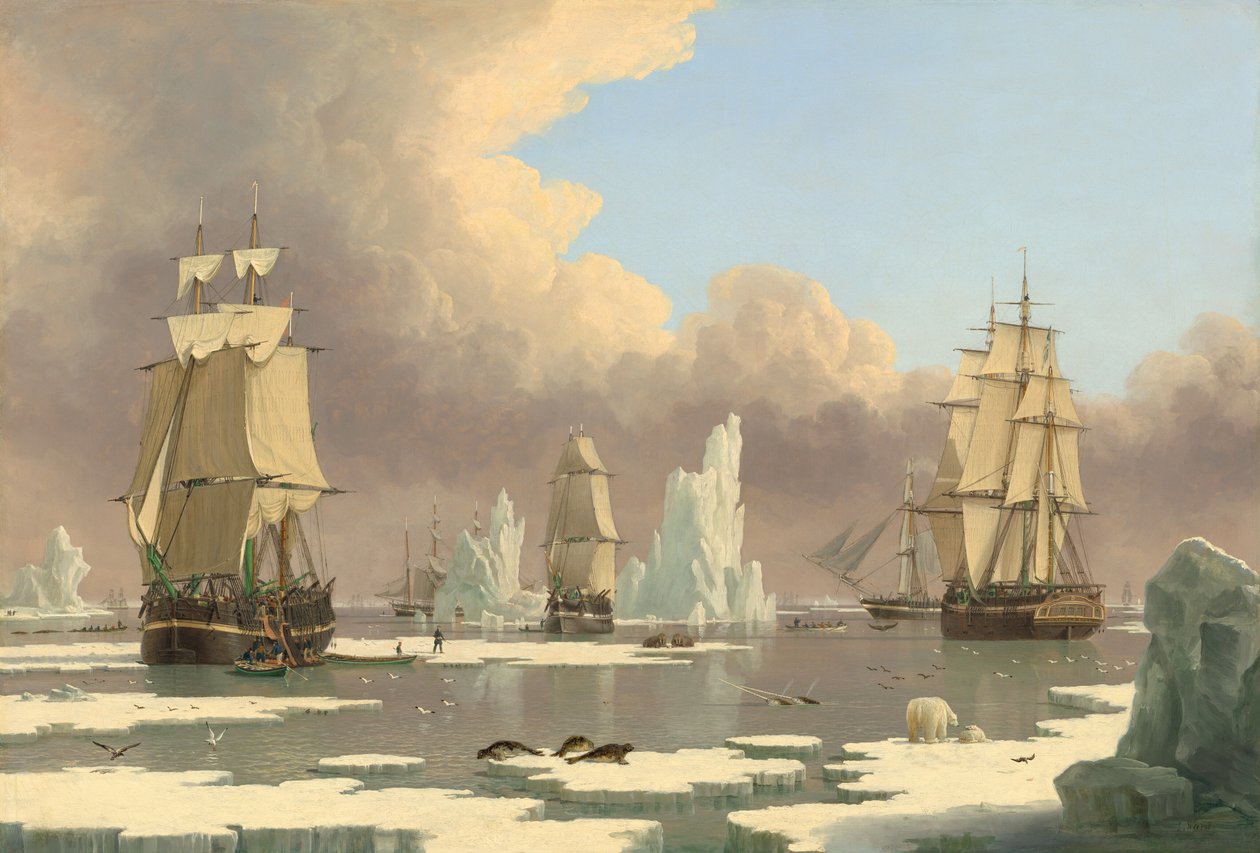 The Northern Whale Fishery: "Svanen" och "Isabella" av John Ward of Hull