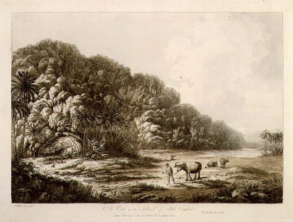 En vy på ön Pulo Condor, från "Views in the South Seas", pub. 1792 (etsning) av John Webber
