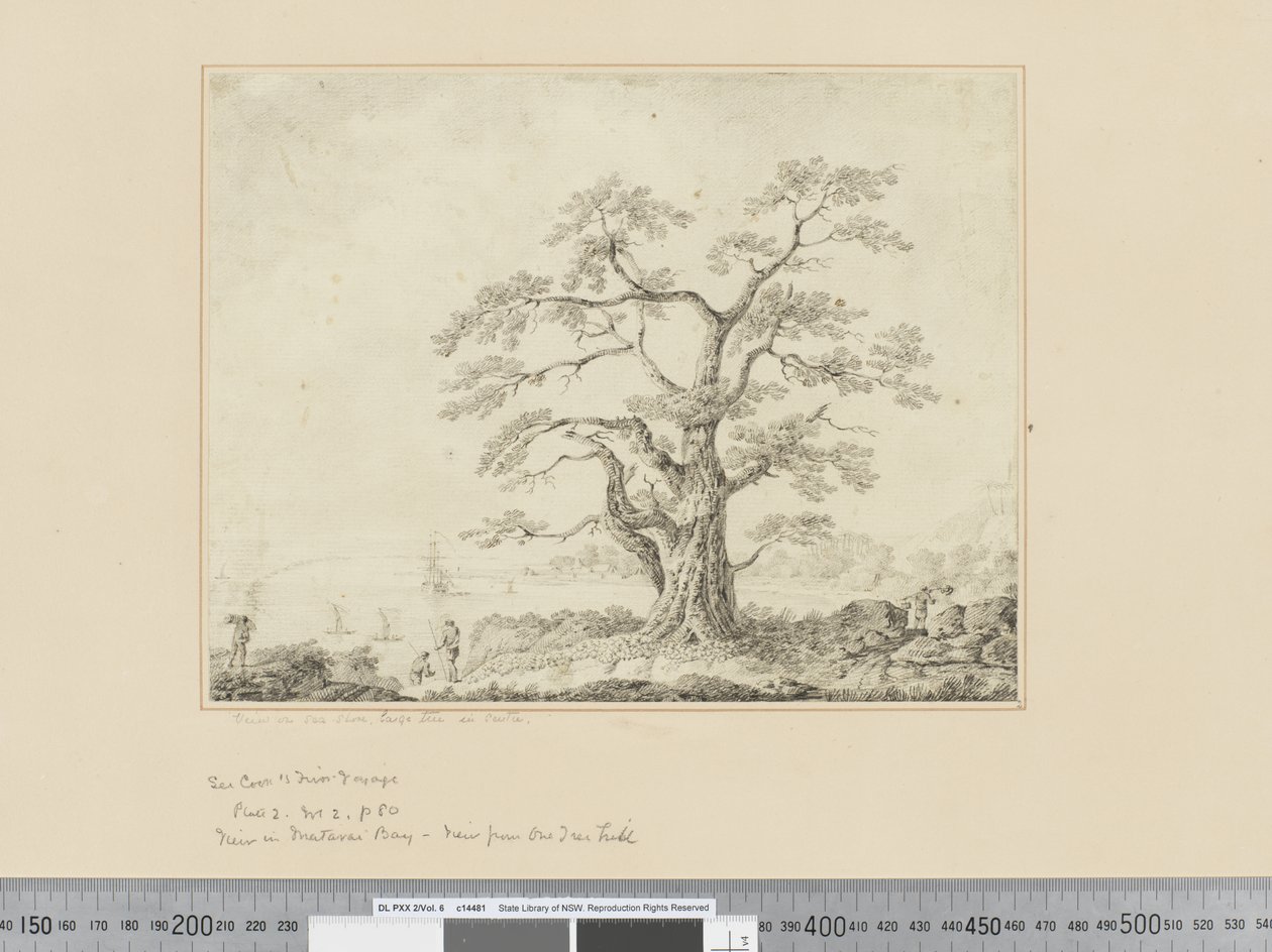 F.44 Utsikt över havet, stort träd i mitten, ca 1783-84 av John Webber