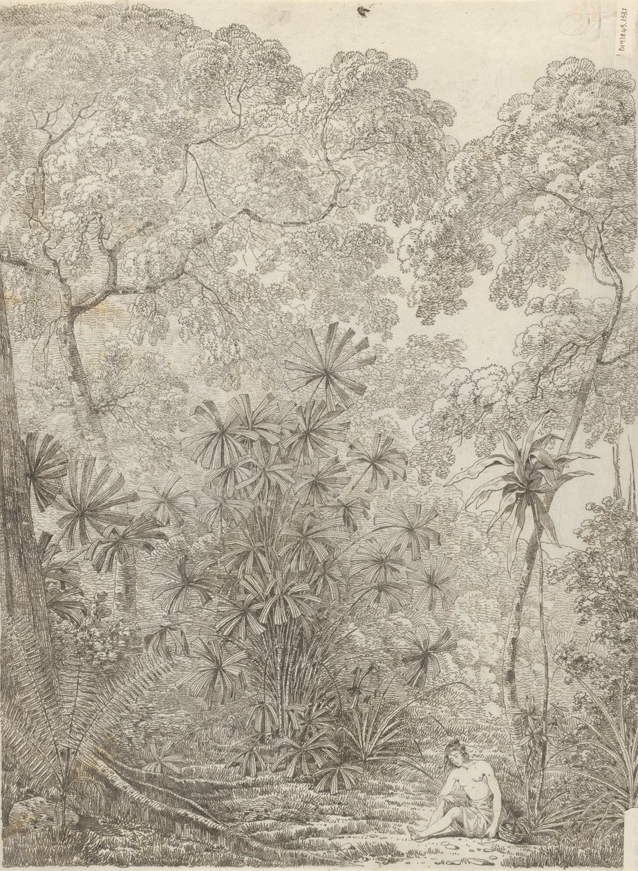 Fläktpalmen i Krakatoa av John Webber