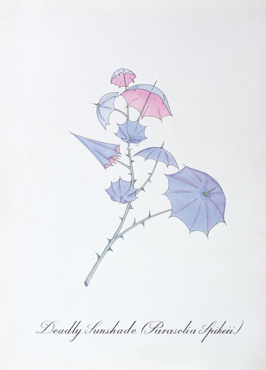 Deadly Sunshade (Parasolia Spikeii.), illustration från "The Bogus Book of Botany" av John Weir av John Weir