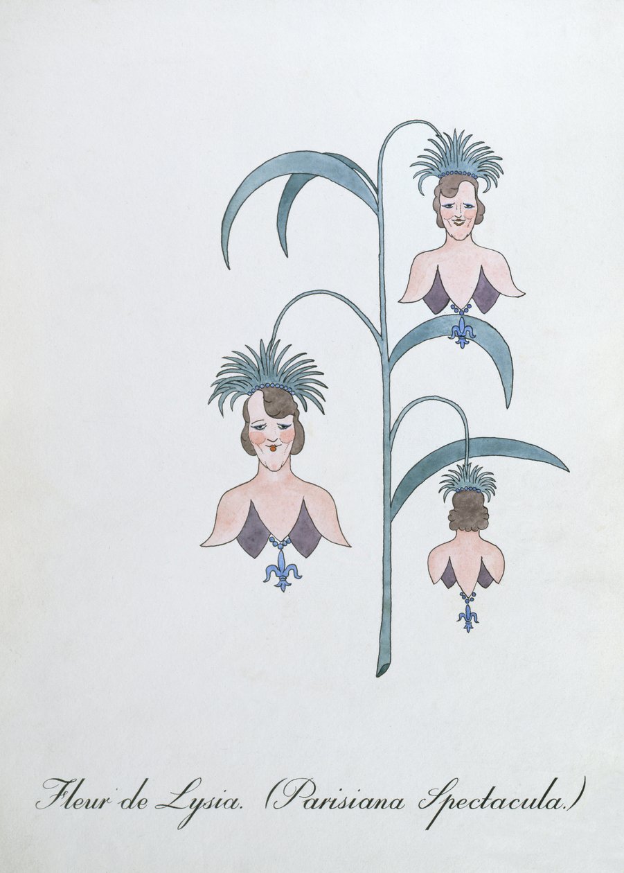 Fleur de Lysia (Parisiana Spectacula.), illustration från "The Bogus Book of Botany" av John Weir av John Weir