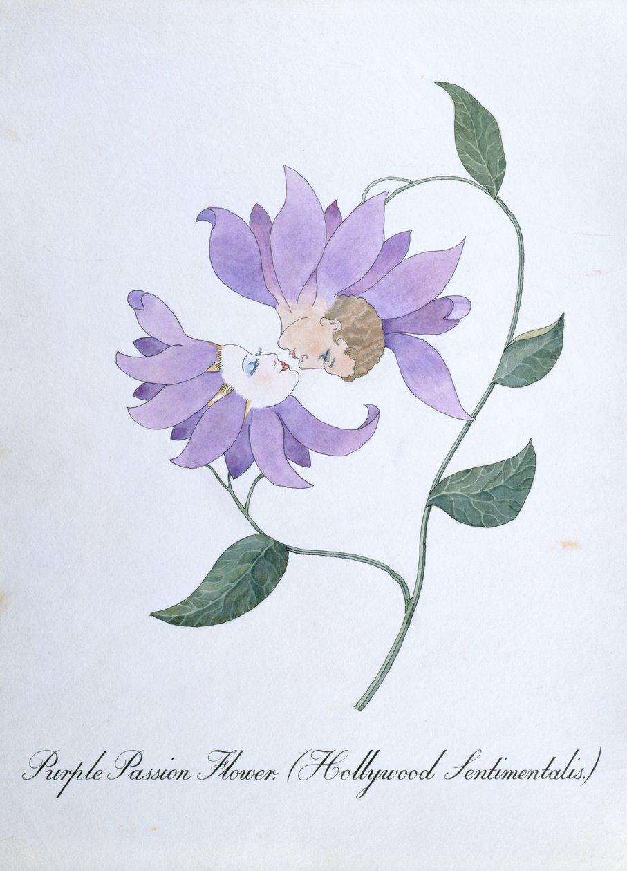 Lila passionsblomma (Hollywood Sentimentalis), illustration från "The Bogus Book of Botany" av John Weir av John Weir