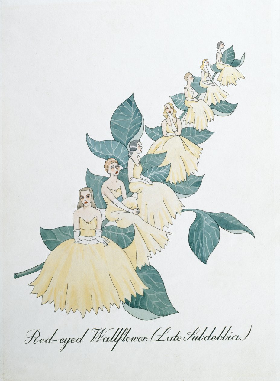 Red-eyed Wallflower (Late Subdebbia), illustration från 