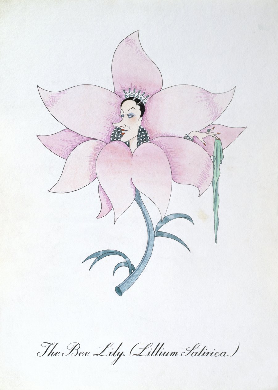The Bee Lily (Lilium Satirical.), illustration från "The Bogus Book of Botany" av John Weir av John Weir
