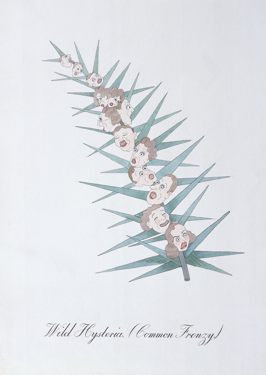 Wild Hysteria (Common Frenzy.), illustration från "The Bogus Book of Botany" av John Weir av John Weir
