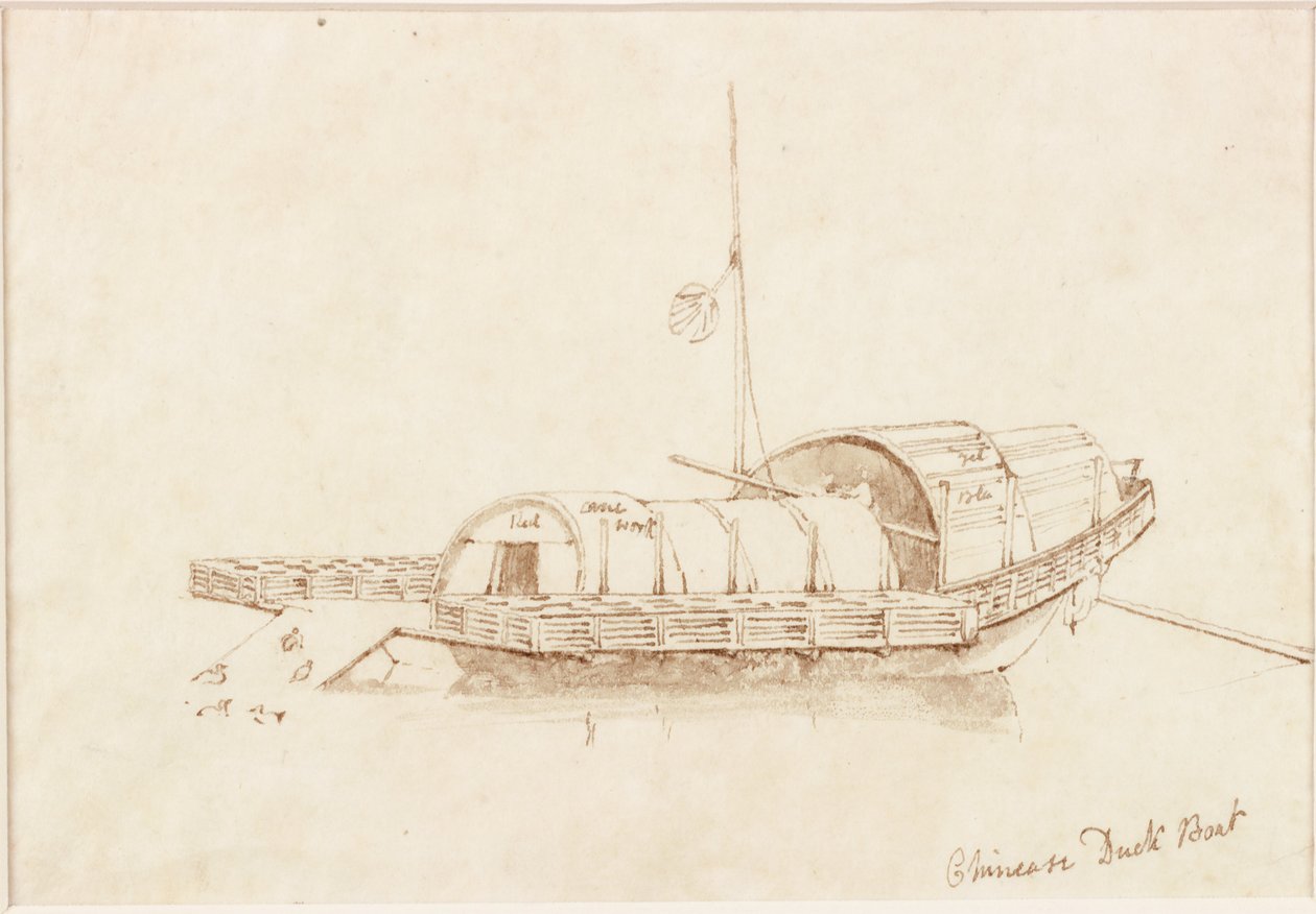Chinese Duck Boat (bläck (spiral) på papper (på papper)) av John Wilson Carmichael