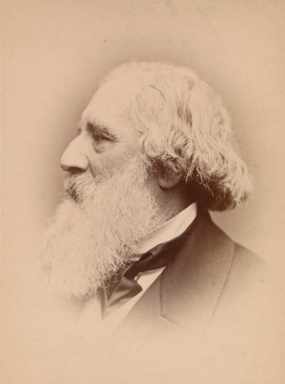 [John Frederick Lewis], 1860-talet. av John and Charles Watkins