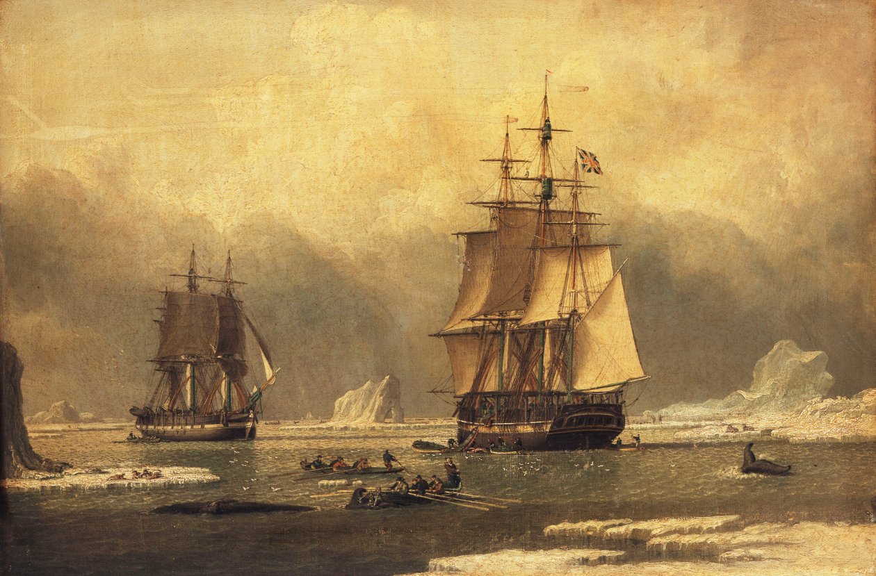 "Svanen" och "Isabella" valfångst i Arktis, av John of Hull Ward