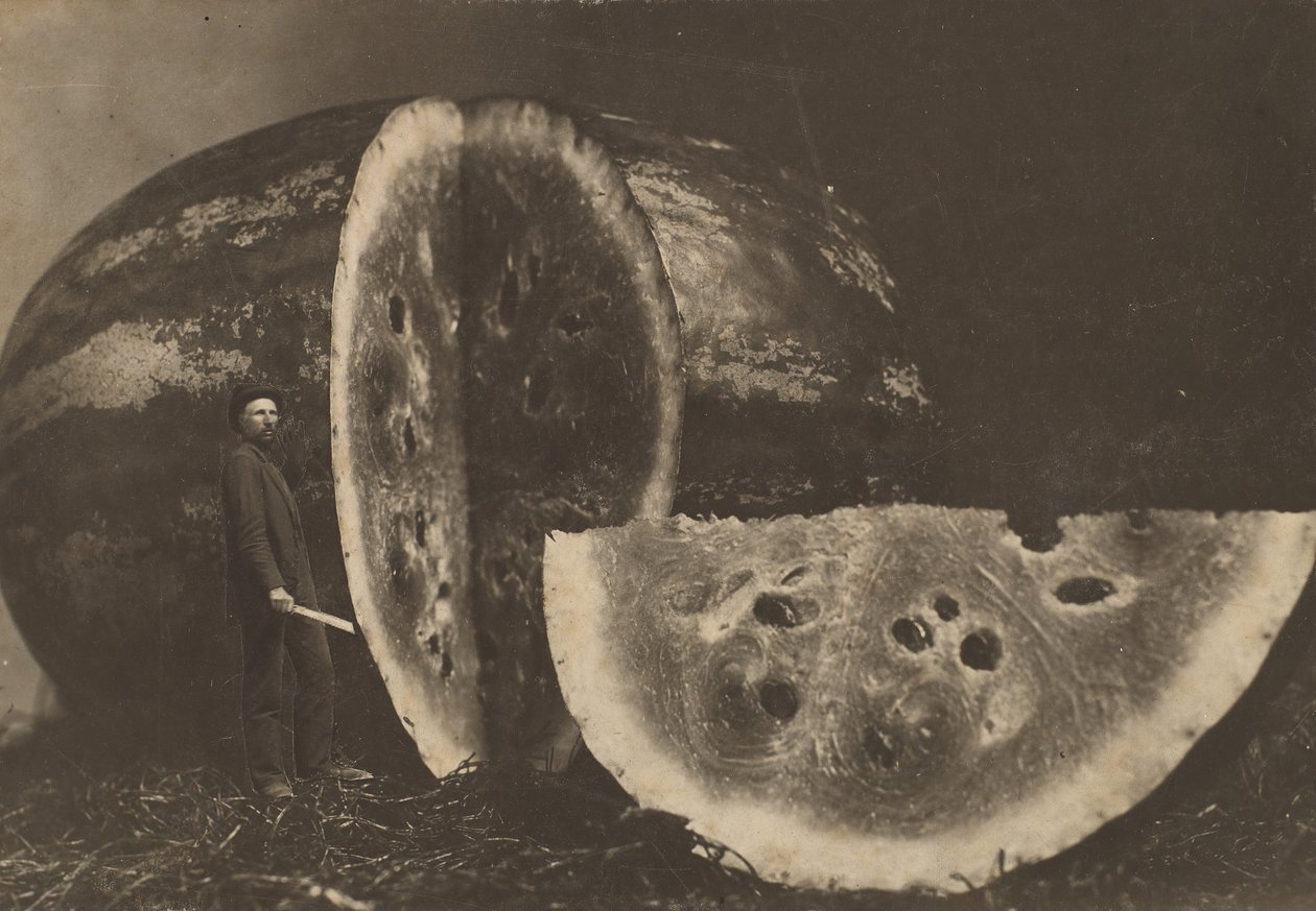 Man skär vattenmelon, 1898-1903. av Johnson