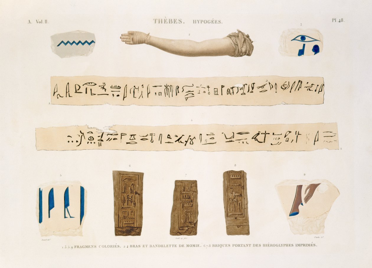 Illustrationer av hieroglyfer och en mumies arm från Hypogees, Thebe, plåt 48 från Vol II av `Descriptions of Egypt`, graverad av Charles, 1822 (akvatint) av Jomard
