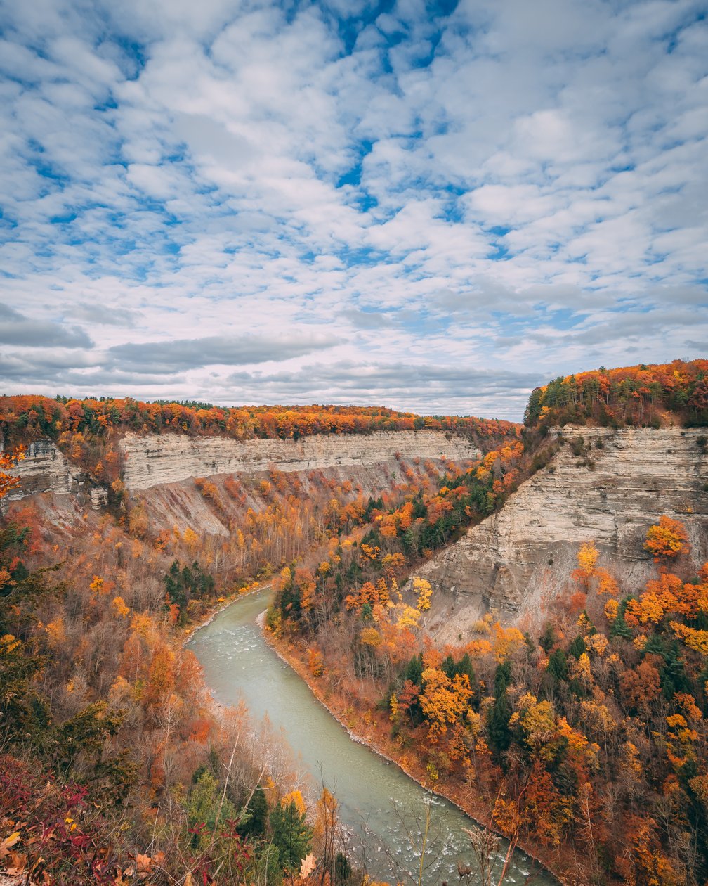 Höstfärger i ravinen vid Letchworth State Park, i New York, USA (foto) av Jon Bilous