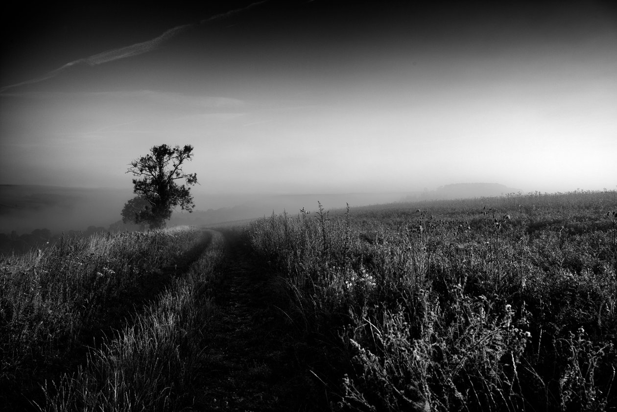  av Jon Nicholson