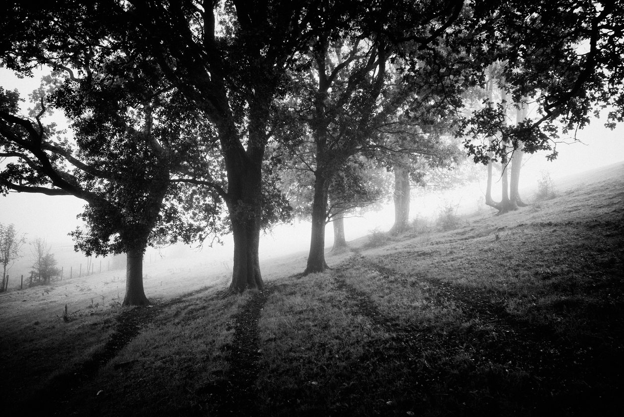 av Jon Nicholson