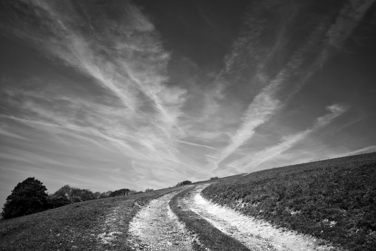  av Jon Nicholson