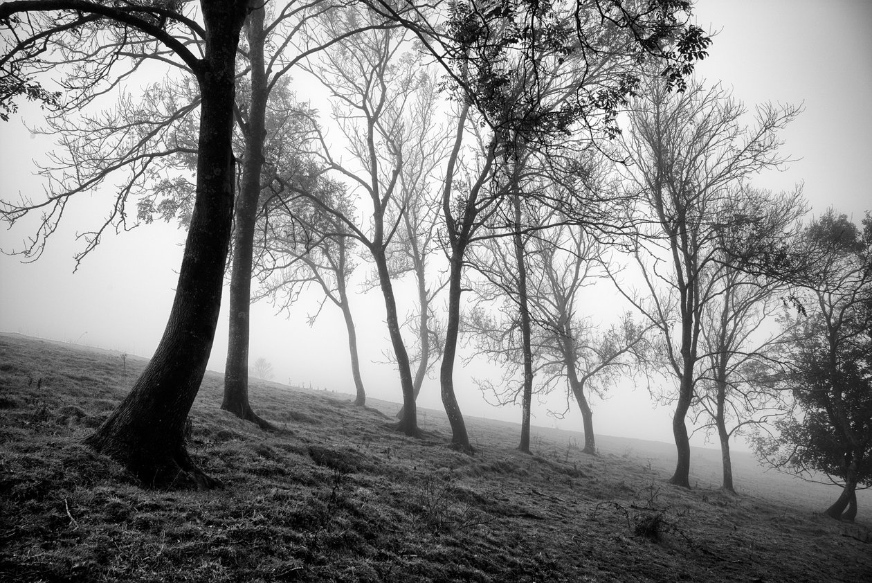  av Jon Nicholson
