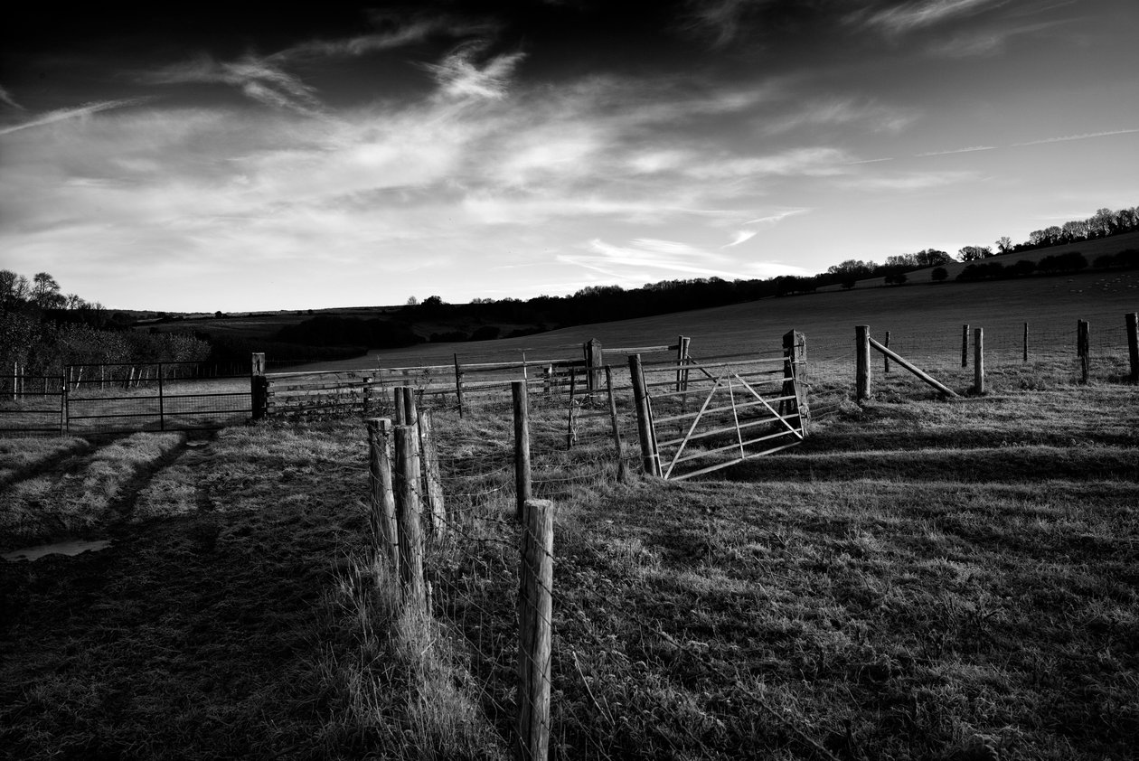  av Jon Nicholson