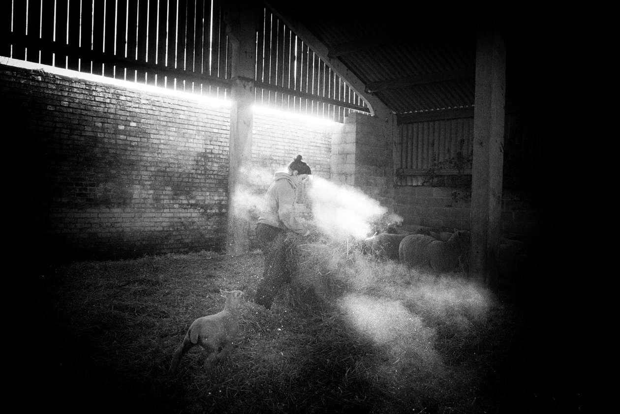  av Jon Nicholson