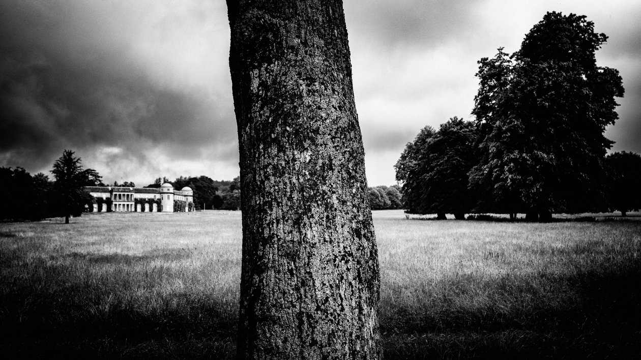 The Goodwood Estate i West Sussex, Storbritannien, 2020 (foto) av Jon Nicholson