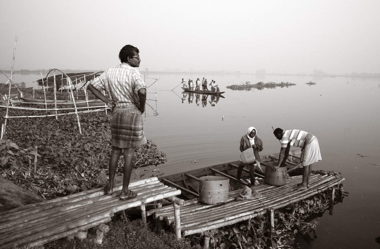 Fiske i våtmark i Kolkata, 2016 (foto) av Jon Nicholson