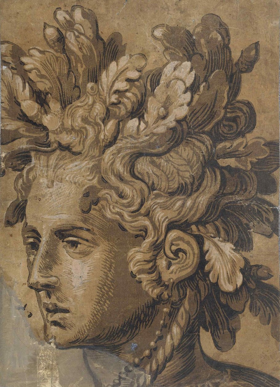 Dryadhuvud efter Frans Floris, ca 1555. av Joos van Gietleughen